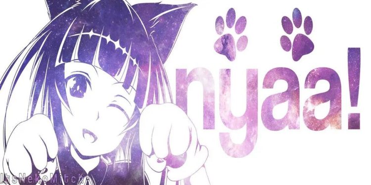 nyaa-torrent