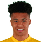 player photo